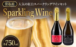 【2026年2月以降発送】特別なおもてなしに スパークリング ワイン 紅白セット 750ml  ×各1本 オチガビワイナリー 北海道 余市町産 飲み比べ ぶどう アルコール お酒 濃厚 フレッシュ 飲みやすい ギフト お祝い パーティー お取り寄せ _Y012-0101
