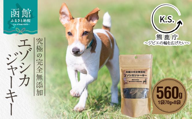 ykCَszɂ̊SYG]VJ W[L[ 8܃Zbg_HD154-002