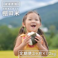 【定期便】健幸農園の棚田米 10kg×3ヵ月セット 白米