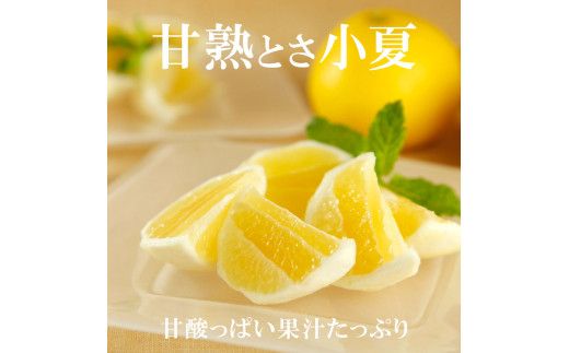 【先行予約】甘熟とさ小夏 約5kg 2S～2L〈2027年4月上旬～2027年5月中旬頃発送〉  / こなつ コナツ 果物 フルーツ 柑橘 かんきつ 宿毛小夏 すくも小夏 日向夏 ニューサマーオレンジ 爽やか 甘酸っぱい 果汁【白木果樹園】 [BQAI032]