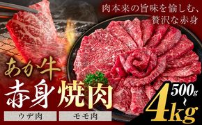 あか牛 赤身 ウデモモ 焼肉  500g 1kg 2kg 4kg《30営業日以内に出荷予定(土日祝除く)》熊本県 氷川町 牛 牛肉 和牛 ブランド牛---hkw_26_lcl_411_500g---