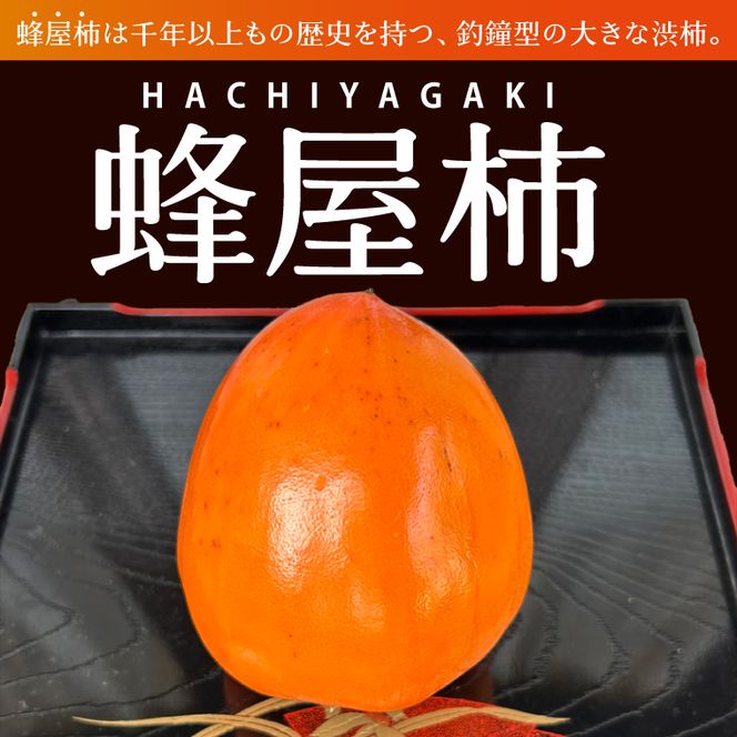 【2026年11月より順次発送】行方市産 蜂屋柿 約2.8kg｜柿 先行予約 茨城県（CP-16）