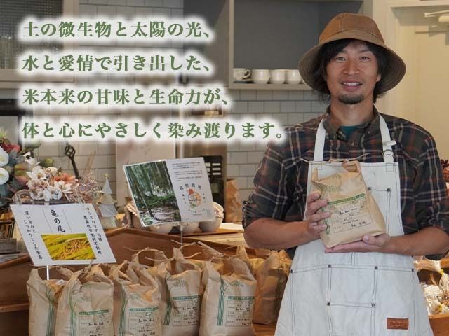 【射水の美味しいお米】【自然栽培農法】自然栽培農家 marufarm 自然栽培米「コシヒカリ」20kg ※2026年10月～発送