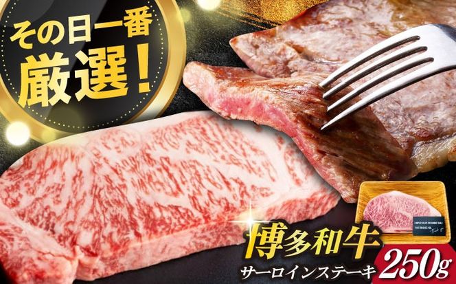 【厳選部位使用！】博多和牛 A4以上 サーロイン ステーキ 250g×1枚《築上町》【株式会社MEAT PLUS】 [ABBP006]