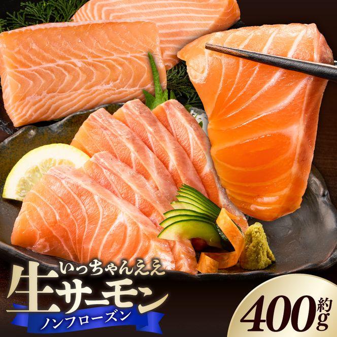 いっちゃんええ【ノンフローズン】生サーモン 全て手作業 約400g_FJ1000