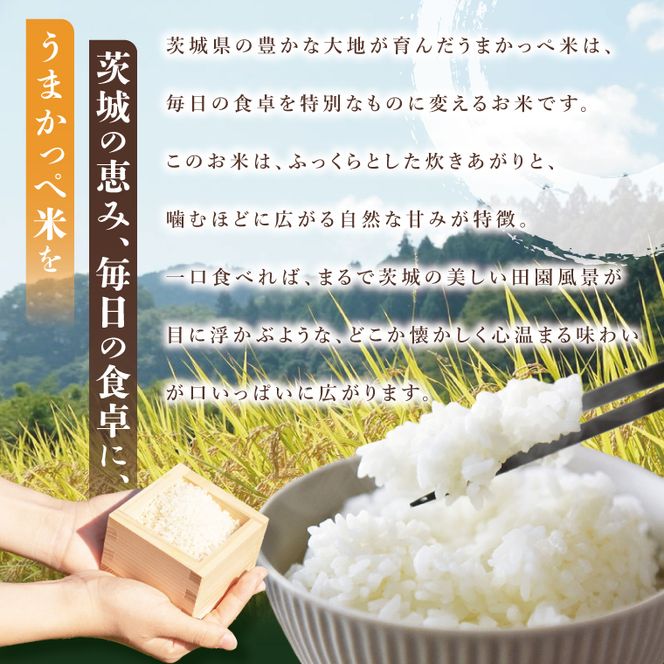 令和7年産　奥久慈の恵みうまかっぺ米（コシヒカリ）2kg×2袋 計4kg｜茨城県 大子町 お米 白米 精米 ブランド米 銘柄米 食味値 ふっくら もちもち （AH001-2）