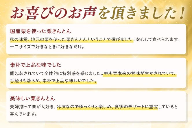405. 秋冬の銘菓 栗きんとん 10個入り（藤乃屋）