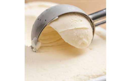 V7217_【2026年6月以降配送】【業務用サイズ】プレミアムジェラート／湯浅醤油2000ml／2リットル 業務用 2L アイス しょうゆ ／ゆあさジェラートラボラトリー