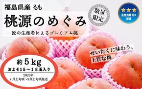 ◆2025年夏発送◆桃源のめぐみ～産直・桃・約5kg～ ｜ 先行予約 予約 数量限定 桃 もも モモ 果物 くだもの フルーツ 詰め合わせ 福島 ふくしま　※離島への配送不可　※2025年7月上旬～9月上旬頃に順次発送予定