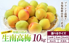 紀州熟南高梅 約10kg 選べるサイズ M ~ 大玉 4L 《2027年6月上旬-6月中旬頃出荷》 和歌山県 日高川町 梅 紀州南高梅 うめ フルーツ 果物---wshg_frsa6_a6_23_70000_10kg---