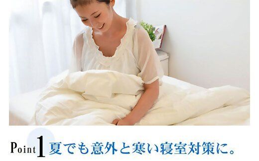 【5-99】夏に使う羽毛布団 エクセルゴールドラベル 薄掛け ダブル 190×210cmイングランドダウン90％ 日本羽毛製品共同組合品質推奨ラベル付き 肌掛け 羽毛 掛け布団 立体キルト【251-000264-20】