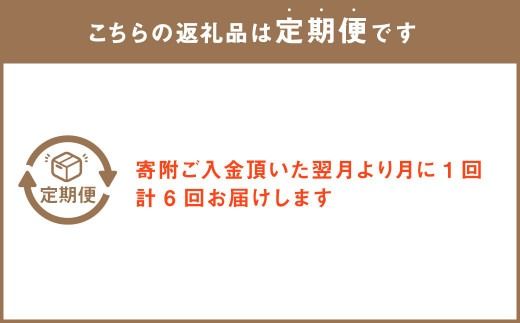 【6回定期便】”松竹梅の梅セット”届いたら、いつもの花瓶に入れるだけ！簡単管理の おしゃれ ブーケ ♪初回 花瓶 付き、毎回延命剤付き！！ 花 生花 花束