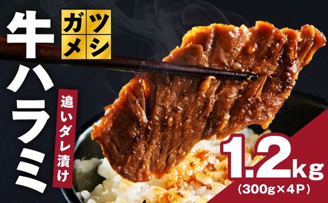 G4018 ガツめし牛ハラミ 1.2kg 追いダレ漬け【300g×4 ハラミはらみ 牛はらみ 牛肉 訳アリ 不揃い 小分け】