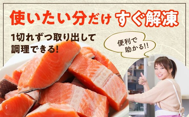 G3730 【定期便】銀鮭 切身 約50g×20切れ 全2回【2026年2月＆2026年5月発送 小分け 漁師 手切り 1kg さけ サケ 切り身 弁当 朝食 時短 訳あり サイズ不揃い 規格外 冷凍食品】