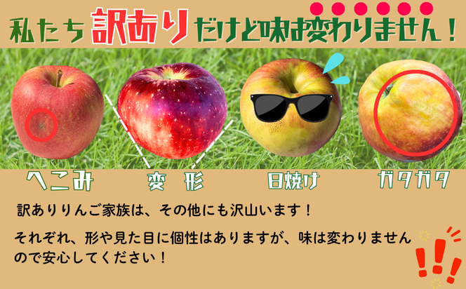 【先行予約丨2026年10月中旬より順次発送】訳あり シナノスイート【約5kg (11〜20玉)】(At-021)丨長野県 飯山市 おすすめ ランキング おいしい 高評価 大人気 先取り 産地直送 りんご 訳あり 規格外