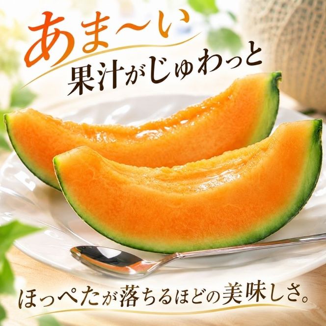 〈先行受付〉【2027年夏発送】北海道 赤肉メロン 北の女王 秀品 約1.6kg×1玉 令和9年 メロン 果物 フルーツ 旬 季節 希少 貴重 甘い 豊潤 国産 デザート ご褒美 産地直送 ギフト お祝い 贈答品 贈り物 お中元 常温 