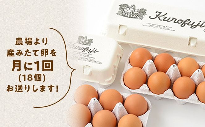 放牧卵18個×6ヶ月　　人気　おすすめ　国産　贈答　ギフト　お取り寄せ　卵　たまご　タマゴ　玉子　鶏卵　自然卵　放牧卵　平飼い　新鮮　たまごかけご飯　B-21