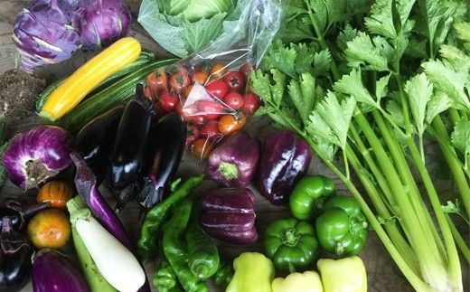 ひばり農園の無農薬ワクワク野菜セット《6月より発送開始》 【289】