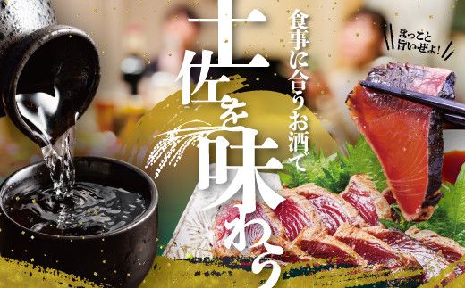 純米吟醸原酒 CEL-24 1800ml (生酒) 2本セット お酒 酒 さけ 日本酒 純米吟醸 一升瓶 1.8リットル 原酒 度数 14度 地酒 亀泉 cel24 セル24【株式会社とさもん】 [BQAE064]