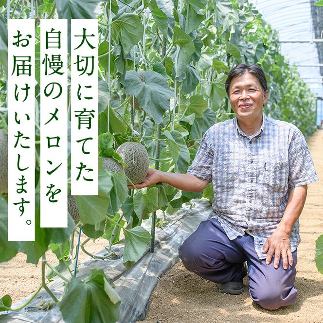 ＜先行予約受付中！2026年6月中旬以降順次発送予定＞数量限定！鹿児島県産南国グリーンメロン(2Lサイズ×2個) メロン フルーツ 果物 鹿児島 国産 青肉 ハウス ハウス栽培 期間限定 2L【東新グリーンファーム合同会社】akn062-08