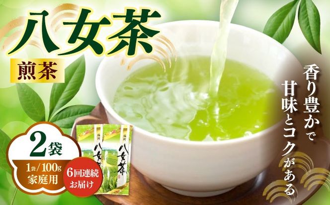 【全6回定期便】八女茶煎茶 100g×2袋《築上町》【株式会社木村食品(千代海苔株式会社)】お茶 茶 緑茶 ギフト[ABEI037]