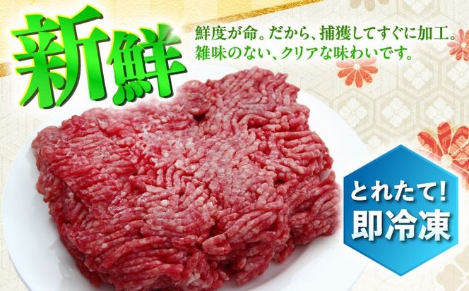猪肉 ミンチ 1kg 雲仙いのしし / ひき肉 肉 イノシシ ジビエ いのしし ハンバーグ / 南島原市 / 株式会社高田牧場[SDB012]