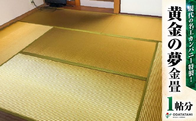 ysz̖HJpj[I̖i1TCYj@K348-005