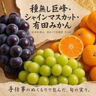 〈定期便〉【8・9・12月 全3回】紀州和歌山産旬のフルーツセット(種なし巨峰・シャイン・みかん) ※離島への配送不可