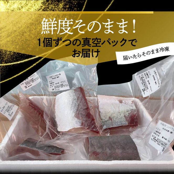 【大和海商】大和ブランドプレミアムSET N072-YA848