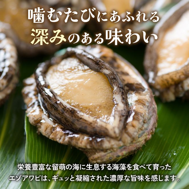 アワビ【産地直送】北海道留萌産天然冷凍エゾアワビ 2～5個 R006-008