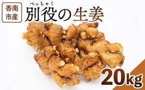 生姜 20kg 香南市産 別役の生姜 - しょうが ショウガ ジンジャー 薬味 調味料 国産 株式会社べっちゃく 高知県 香南市 bc-0029