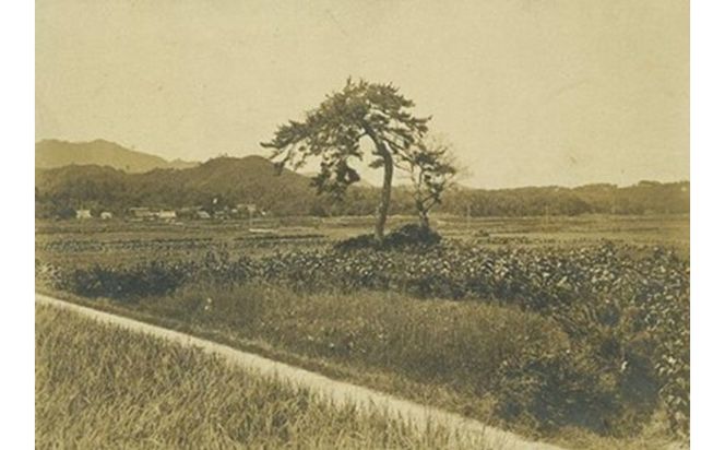 稲作発祥の地。未来へつなぐ「月の輪田・清水戸」の保全と魅力発信に関する活動支援 1口 50,000円【返礼品なし】 京都府 京丹後市 地域応援 地域支援 活動応援 活動支援 京都 丹後 返礼品なし　WK00011