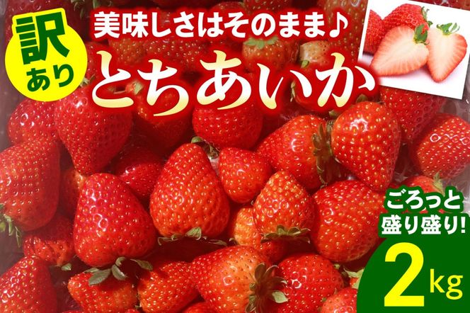 [訳あり] ごろっと盛り盛りいちご『とちあいか』2000g｜いちご イチゴ 苺 とちあいか フルーツ 果物 スイーツ 産地直送 栃木県産 矢板市産 [0539]