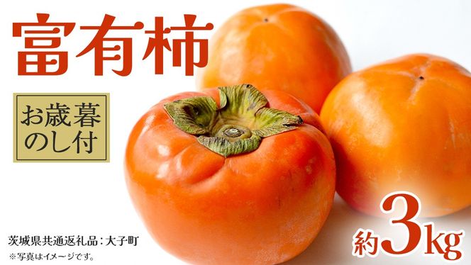 y錧vszy Ε lt zxL` 3kg y2025N12{Jnz(錧ʕԗiFq) ʕ t[c { Gߌ Ԍ p Mtg 蕨