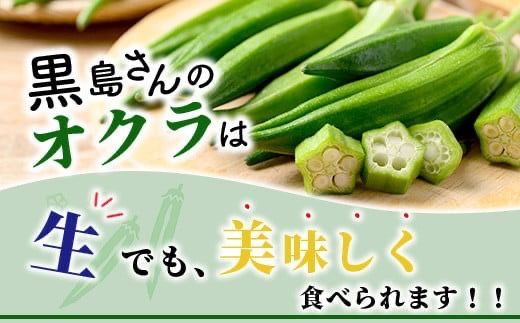 希少！黒島さんの採れたてオクラ100本セット（特別栽培、栽培期間中農薬不使用）２月～順次発送【 沖縄県 石垣市 沖縄 石垣島 おくら オクラ 野菜 採れたて フレッシュ 夏野菜 冬野菜 南国 離島のいいもの 沖縄いいもの石垣島 】OI-7