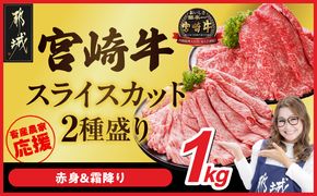 畜産農家応援! 宮崎牛スライス2種セット500g×2パック_19-N2-001-1000
