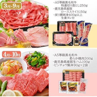 定期便(6回)お楽しみ便(A5等級黒毛和牛・黒豚・海鮮・さつま揚げ等)GG-0052 【1166771】