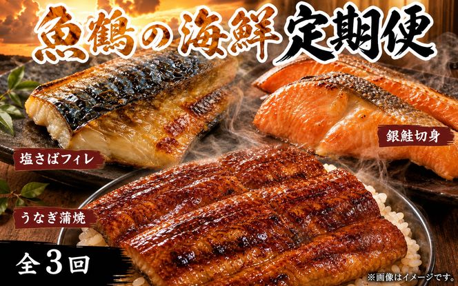 【全3回】魚鶴厳選！人気のお魚集合定期便（さば・銀鮭・うなぎ）【tkb307】
