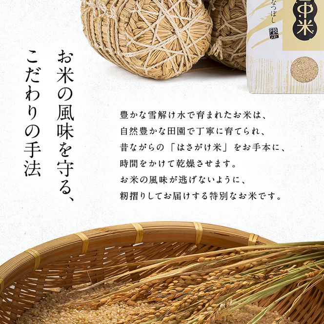 令和8年産 【定期便3ヶ月】 特Aランク米 ゆめぴりか 玄米 10kg（5kg×2袋）【10月発送】雪冷気 籾貯蔵 雪中米 北海道 nr-1966