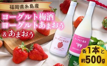 【2024年2月上旬より順次発送】【春】ヨーグルトあまおう＆ヨーグルト梅酒 各720ml×あまおう 約250g×2パック 糸島市 / 南国フルーツ株式会社 [AIK019]