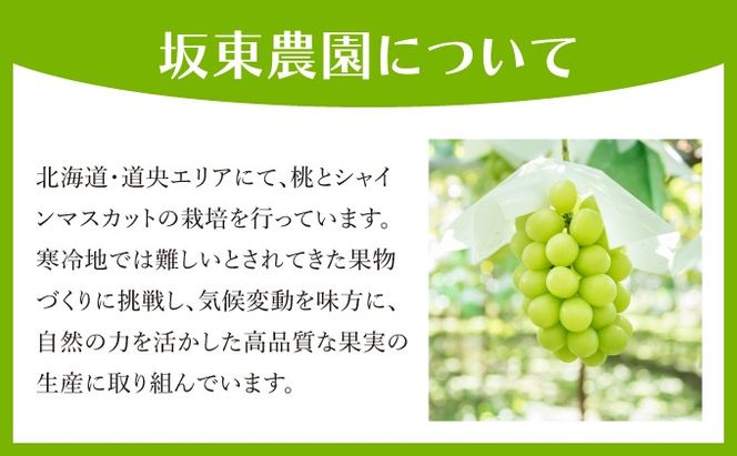 ＜先行予約＞ シャインマスカット 2房（1kg以上）化粧箱入り
