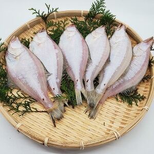 【ふるさと納税】山陰名産エテカレイ一夜干し 6枚 エテカレイ カレイ 鰈 干物 一夜干し 干し物 魚介 海鮮 山陰 国産 冷凍 お取り寄せ【配送不可地域：離島】【1109959】 兵庫県 新温泉町 送料無料