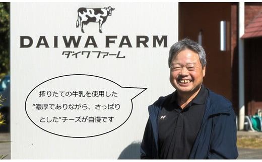 【朝どれミルク使用】ナチュラルチーズと朝のヨーグルトセット（国産 ナチュラルチーズ 乳製品 チーズ コンテスト受賞 ヨーグルト 人気 霧島 宮崎 小林市 地域限定）