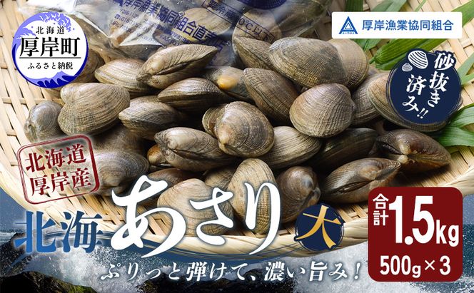 あさり【4月～6月発送】北海道 厚岸町産 天然 殻あさり(大)  500g×3　【厚岸漁業協同組合】[ アサリ 貝 味噌汁 酒蒸し 混ぜご飯 ] 