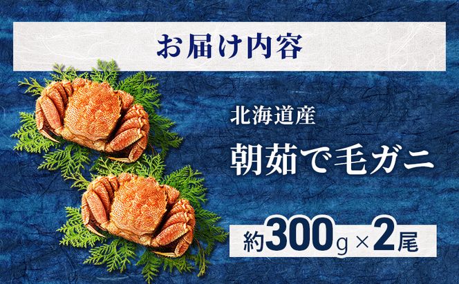 ［冷蔵便］茹でたて直送！北海道産 朝茹で毛ガニ 約300g×2尾【 かに カニ 蟹 幕別町 北海道 毛蟹 毛ガニ 海鮮 魚介 海の幸 海産物 冷蔵 】