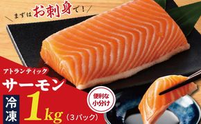 nbj0014 【TVで紹介！】アトランティックサーモン 1kg 刺身用ポーション【小分け 真空パック 訳あり サイズ不揃い 刺身 海鮮丼 さーもん 鮭 さけ シャケ しゃけ 冷凍】