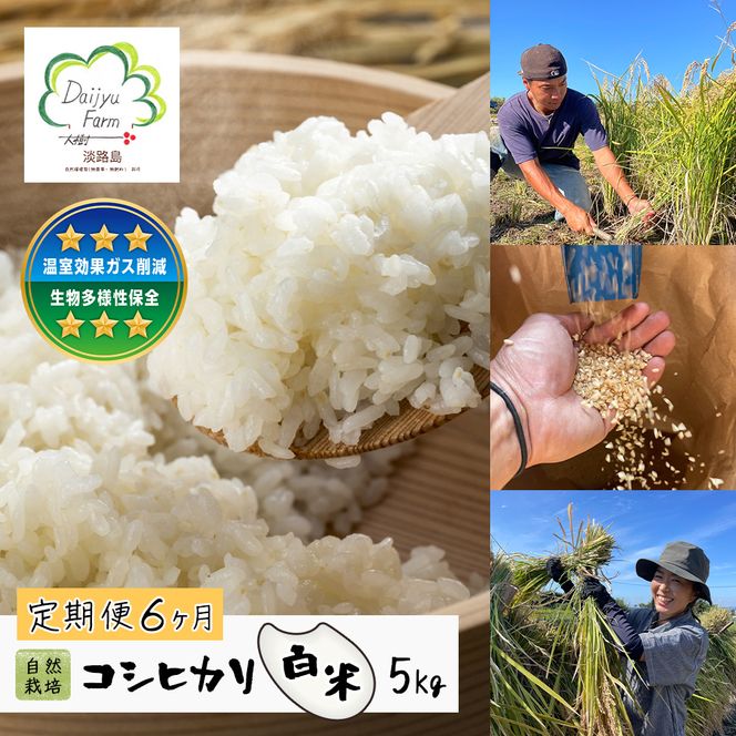 【定期便6ヶ月】自然栽培　コシヒカリ（白米）　5kg