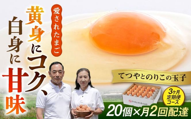 yszs2 × 20 3R[Xt ĂƂ̂肱̋ʎq S6 s / _t@[ [AWD012]