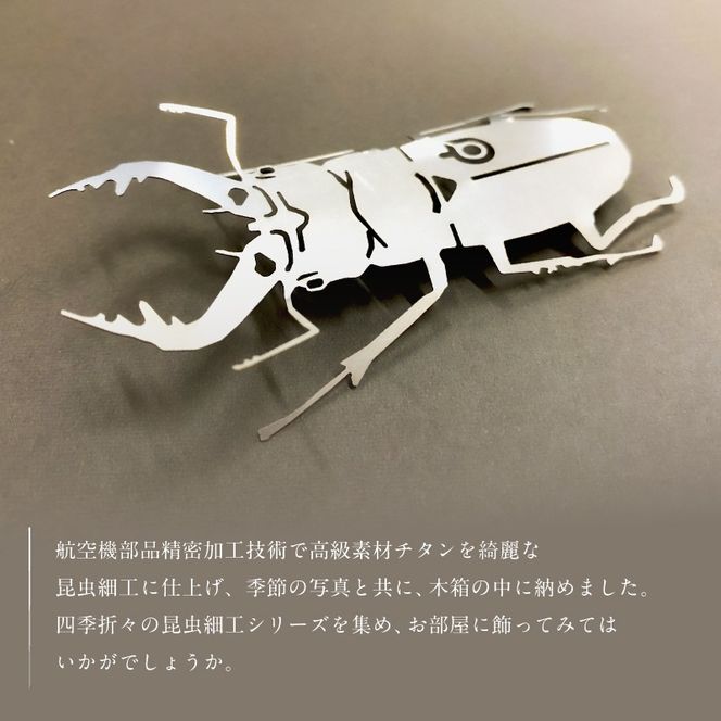 薄板チタン昆虫細工シリーズ（クワガタ）　【0067-012】