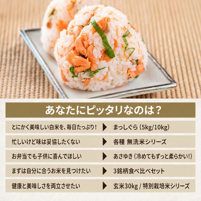 先行予約 令和8年産 はれわたり 玄米 10kg(5kg×2) [H.GREENWORK] 青森県 鰺ヶ沢産 / お米 こめ おこめ ごはん 特A 評価 備蓄 健康 津軽